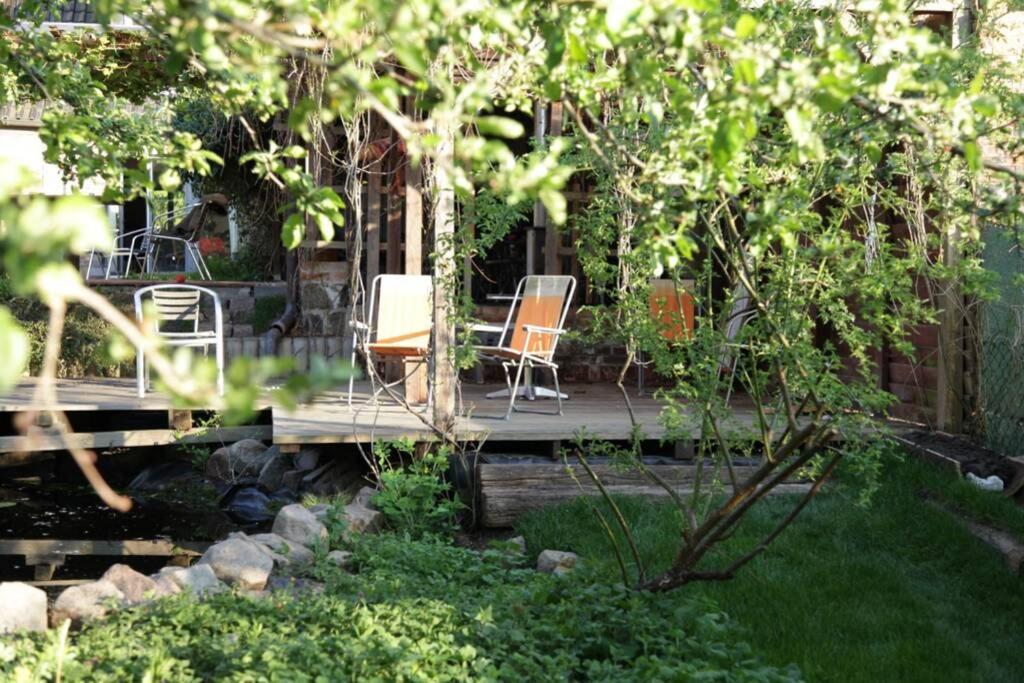 Ferienwohnung In Peetzig Am See آنغرمونده المظهر الخارجي الصورة