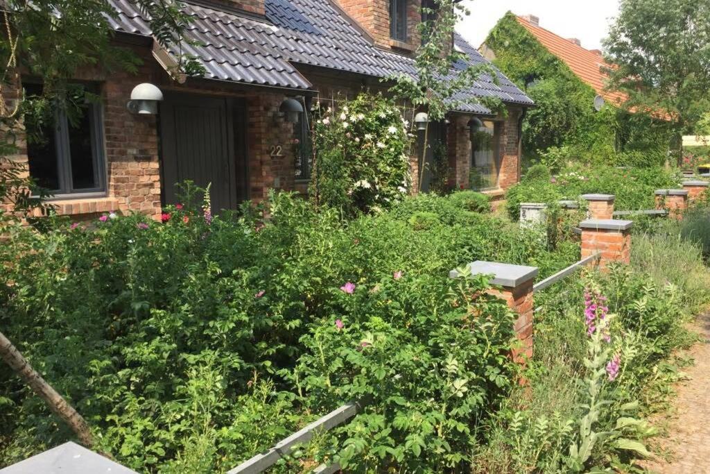 Ferienwohnung In Peetzig Am See آنغرمونده المظهر الخارجي الصورة