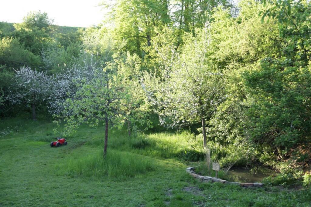 Ferienwohnung In Peetzig Am See آنغرمونده المظهر الخارجي الصورة